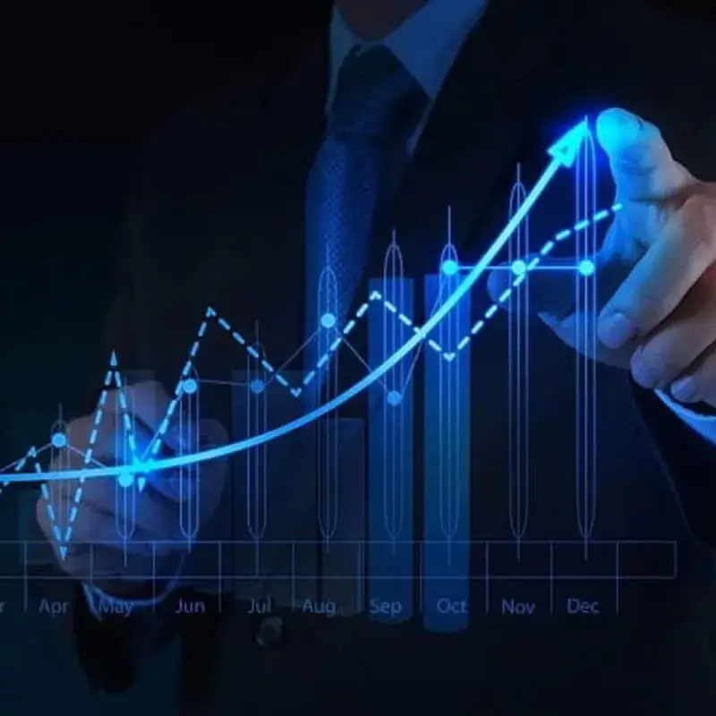 Person studying financial charts on a laptop